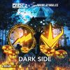 Download track Dark Side (Radio Edit)