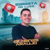 Download track Vida De Solteiro