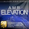 Download track Elevation (Jonas Hornblad Remix)