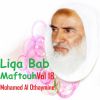 Download track Liqa Bab Maftouh, Pt. 14