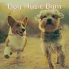 Download track Chilled Solo Piano Jazz - Vibe For Doggy Training