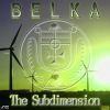 Download track The Subdimension