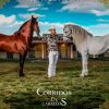 Download track Caballo De Patas Blancas