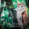 Download track Hidden Soul