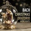 Download track Christmas Oratorio, BWV 248, Cantata 1: Grosser Herr, Und Starker König (Bass)