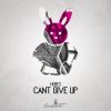 Download track Cant Give Up