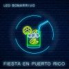 Download track Fiesta En Puerto Rico (Roby Giordana Remix)