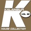 Download track STILL HOUSE (2017 Remastered)