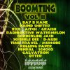 Download track Schoco - Why Waste Your Time (2013 Boomting Mix)