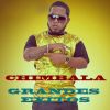 Download track Disimula