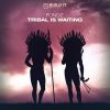 Download track Tribal Is Waiting