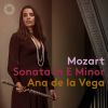 Download track Violin Sonata No. 21 In E Minor, K. 304 (Arr. For Flute & Piano) I. Allegro