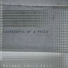 Download track Landscapes Of A Voice: Part 11