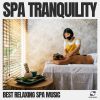 Download track Relaxing Spa Music