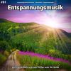 Download track Entspannungsmusik Pt. 70