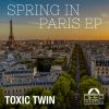 Download track Spring In Paris