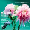 Download track III. Allegro (Cadenzas By W. A. Mozart)