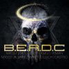 Download track B. E. R. D. C (Baila)