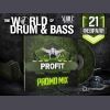 Download track Profit Worrld Of Drum&Bass (Official Promo Mix)