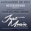 Download track Neverground (Ellez Ria Pres Arkam Remix)