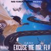 Download track Excuse Me Mr. Fly