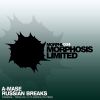 Download track Russian Breaks (Original DJ Mix)