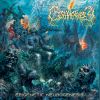 Download track Induced Primordial Regression