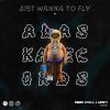 Download track Just Wanna To Fly