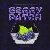 Download track Berry Patch (IMANU Remix)