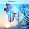 Download track Silence Of Life (2bnsn Remix)