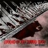 Download track My Blood Is Infected