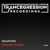 Download track Ginger Panda (Original Mix)