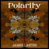 Download track Polarity