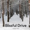 Download track Blissful Drive