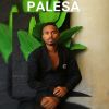 Download track Palesa