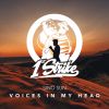 Download track Voices In My Head (Extended Mix)