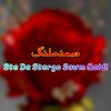 Download track Sta Da Stargo Sawm Qaidi