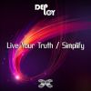 Download track Live Your Truth (Instrumental)