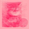 Download track Chilled Home With Cats