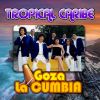 Download track Desde Que Tu Te Has Ido