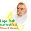 Download track Liqa Bab Maftouh, Pt. 11