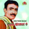 Download track Mani Qismat O