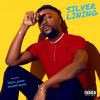 Download track Silver Lining (Jacinth Remix)