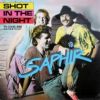 Download track Shot In The Night (Instrumental Version)