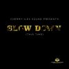 Download track Slow Down (This Time) [Instrumenta] (Ilex Mix)