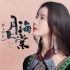 Download track 月上海棠 (伴奏)