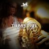 Download track Trumpet Girl (Tomy Montana & 1st Place Remix)