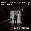 Download track Melinda (Mr. Lopez Instrumental Remix)