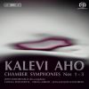 Download track Chamber Symphony No. 3 For Alto Saxophone And String Orchestra - II. …ah, Olen Kuullut Villihanhien Huudot (…oh, I Have Heard The Wild Geese Calling)