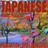 Download track Modern Japan (Instrumental)